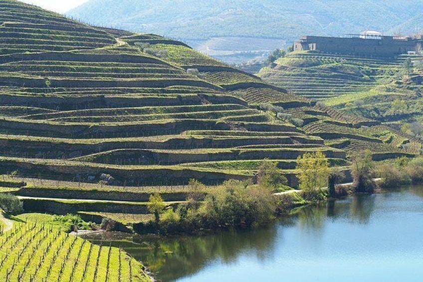 The very famous terraces in Douro Valley