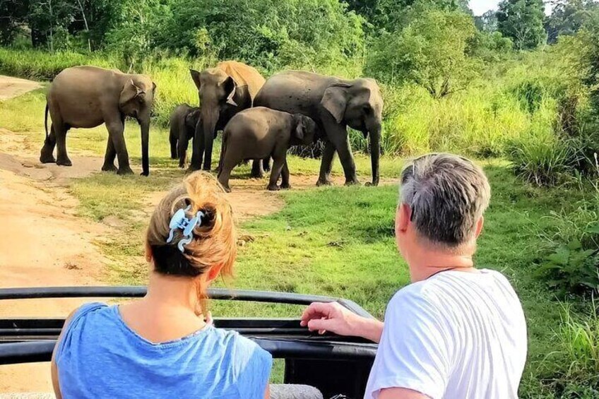 Private Dambulla Sigiriya Tour with Lunch