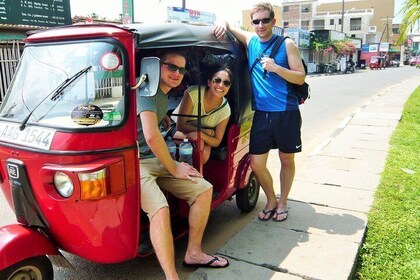 Kandy City Tour by Tuk Tuk