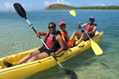 Lo mejor de Mangrove Lagoon Kayak, caminata y aventura de snorkel con almue...