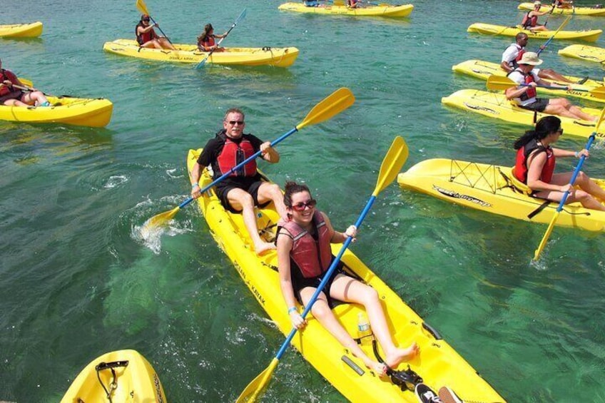 Best of Mangrove Lagoon Kayak, Hike and Snorkel Adventure with Picnic Lunch