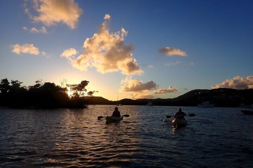 Sunset Kayak Tour in the Mangrove Lagoon, St Thomas