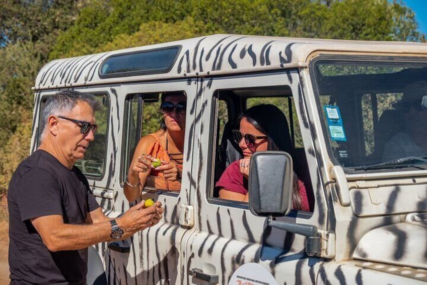 Algarve Half Day Jeep Safari Tour