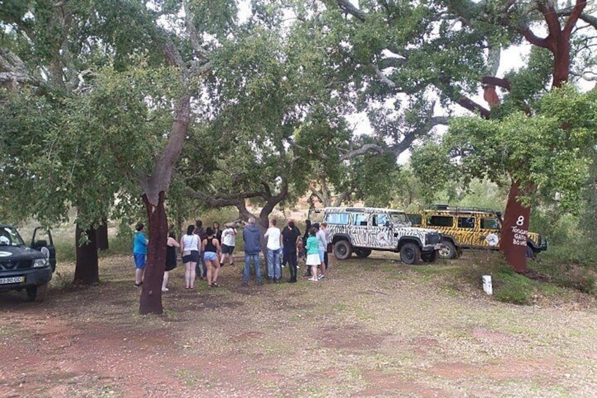 Algarve Half Day Jeep Safari Tour