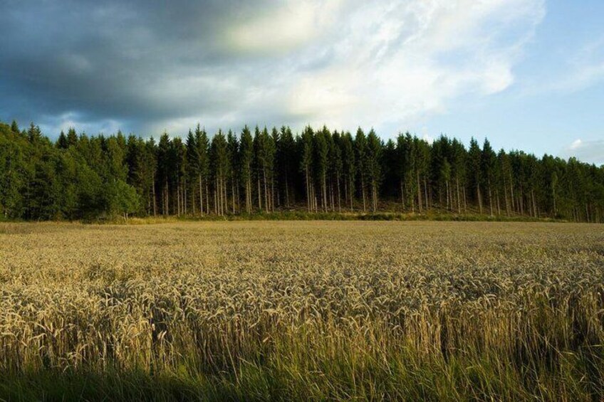 Rural Stockholm