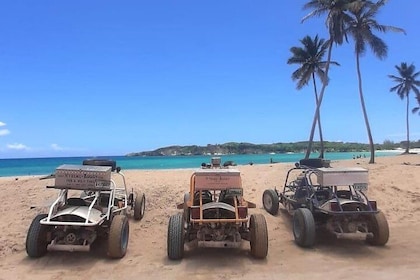 Xtreme Buggy 4 hours Dune Buggy & Country side experience