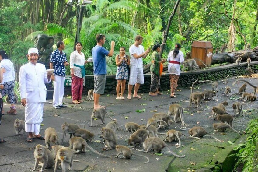 Sacred Monkey Forest Sanctuary Ubud