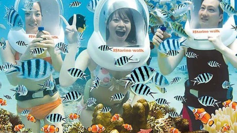 Sea Walking Bali included Hotel Transfer