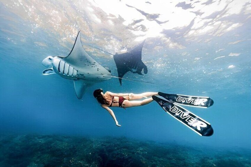 Snorkeling Nusa Penida