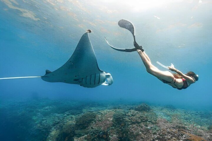 Snorkeling Nusa Penida