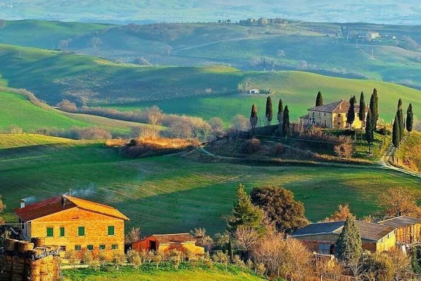 wine experience in Tuscany