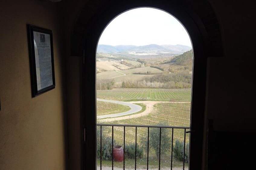 Small group tour to visit the Tuscan wineries from Florence