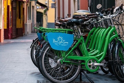 Trevlig stadstur med elcykel med en lokal guide