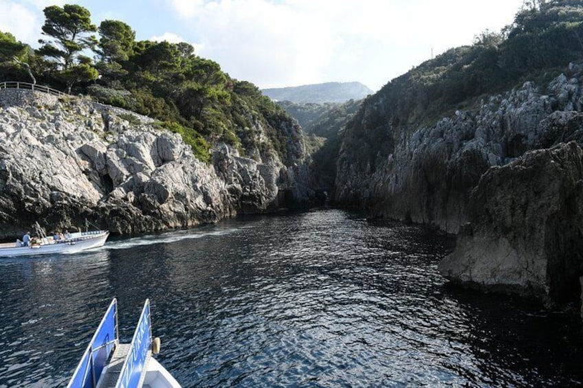 Capri One Day – visit the island by sea and land