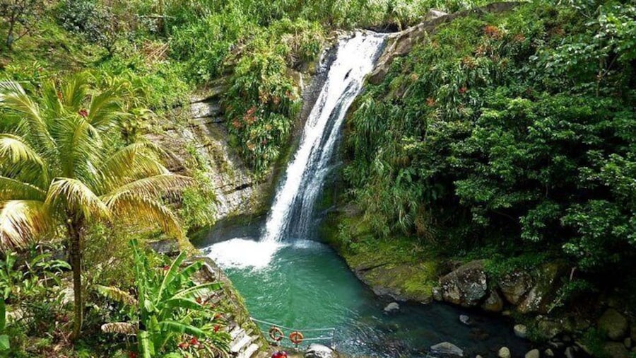 Concord Waterfall