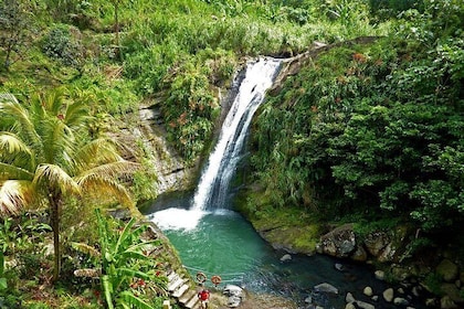 Full-Day Tour: Concord Waterfall, Chocolate Factory, Rum Distillery, Grand ...