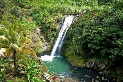 Excursión de día completo: Cascada de Concord, fábrica de chocolate, destil...