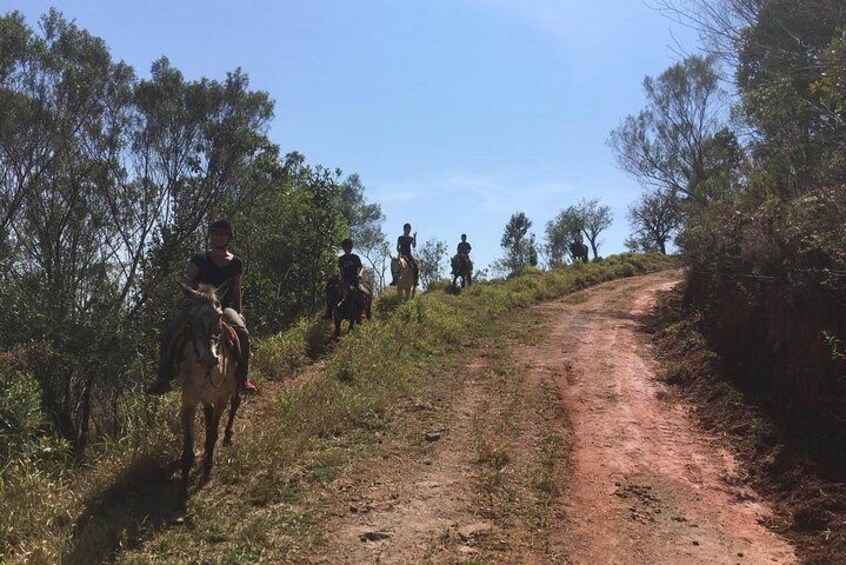 Exclusive Horseback Riding from Paraty with Pic-nic at Belvedere