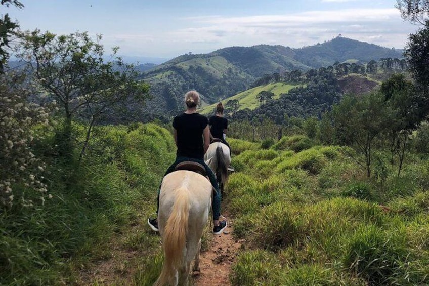 Exclusive Horseback Riding from Paraty with Pic-nic at Belvedere