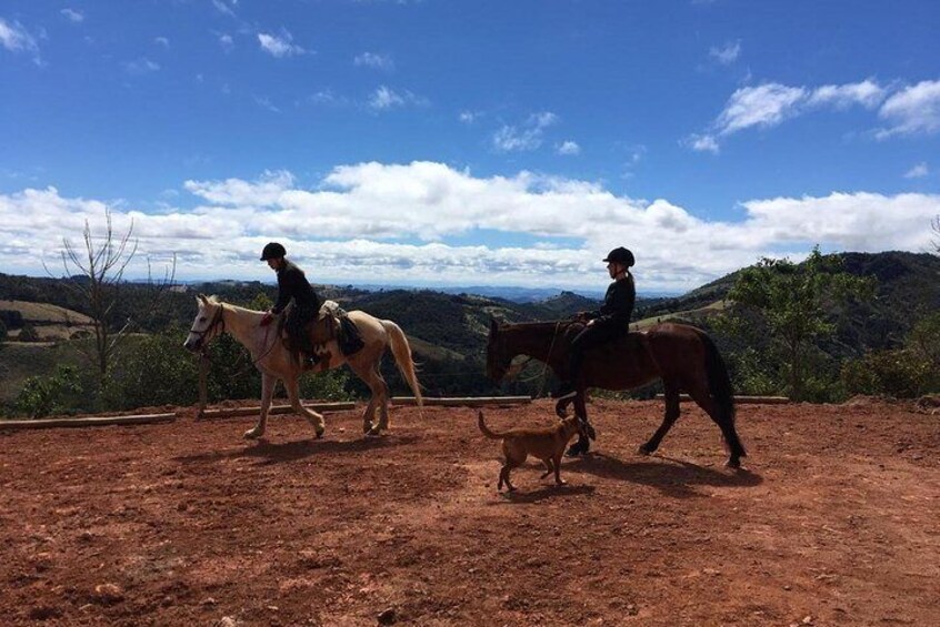 Exclusive Horseback Riding from Paraty with Pic-nic at Belvedere