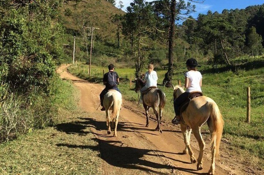 Exclusive Horseback Riding from Paraty with Pic-nic at Belvedere