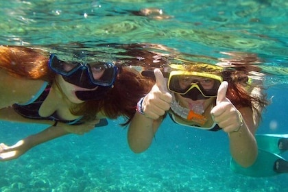 French Riviera Villefranche Bay Snorkelling Tour from Nice