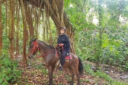 El mejor recorrido a caballo de República Dominicana