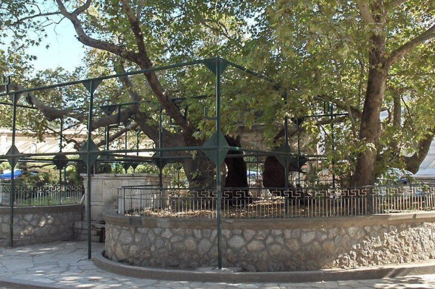 Private Tour: Kos Island Highlights Including Zia, Asklepieion and Tree of Hippocrates