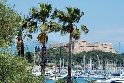 Private Customized Half-Day tour from Monaco, Nice, or Cannes