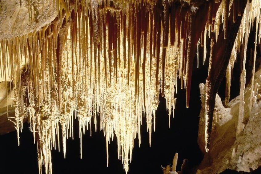 Private Tour: Mallorca Caves of Drach and Majorica Pearl Factory