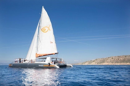 Mallorca Catamaran Cruise and Snorkelling Trip