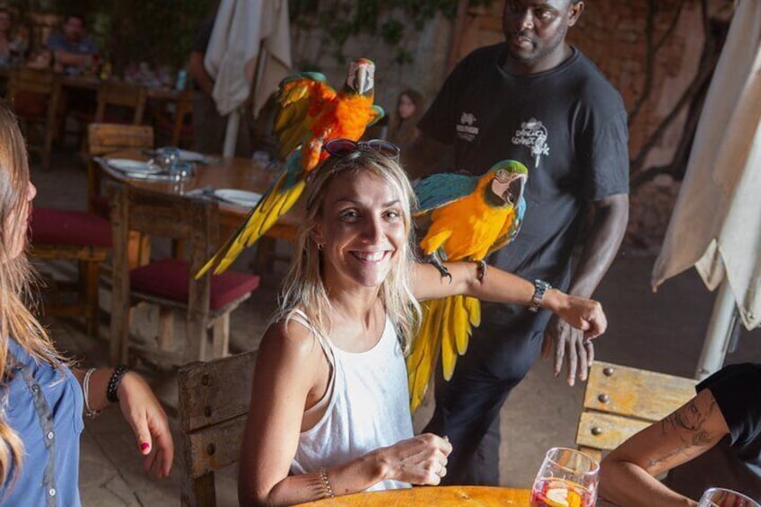 Mallorca Evening Tour: Horseback Riding, Dinner and Dance
