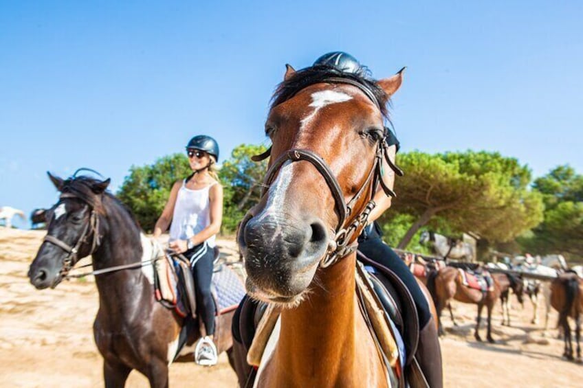 Mallorca Evening Tour: Horseback Riding, Dinner and Dance