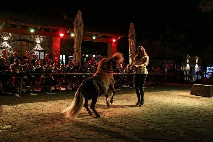 Mallorca Evening Tour: Horseback Riding, Dinner and Dance