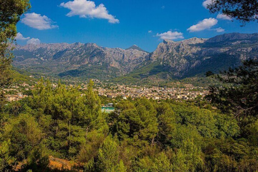 Mallorca in One Day Sightseeing Tour with Boat Ride and Vintage Train