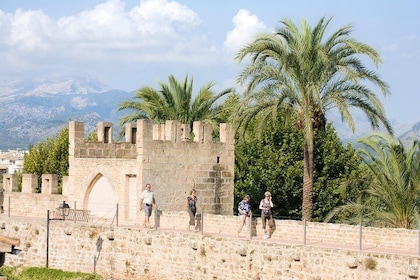 Discover Alcudia old town on a private walking tour