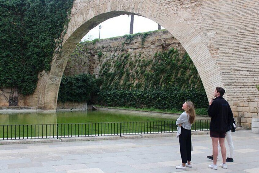 Food Tasting Walking Tour in Palma with a Local