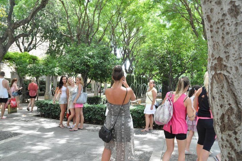 Palma de Mallorca Sightseeing Day Tour