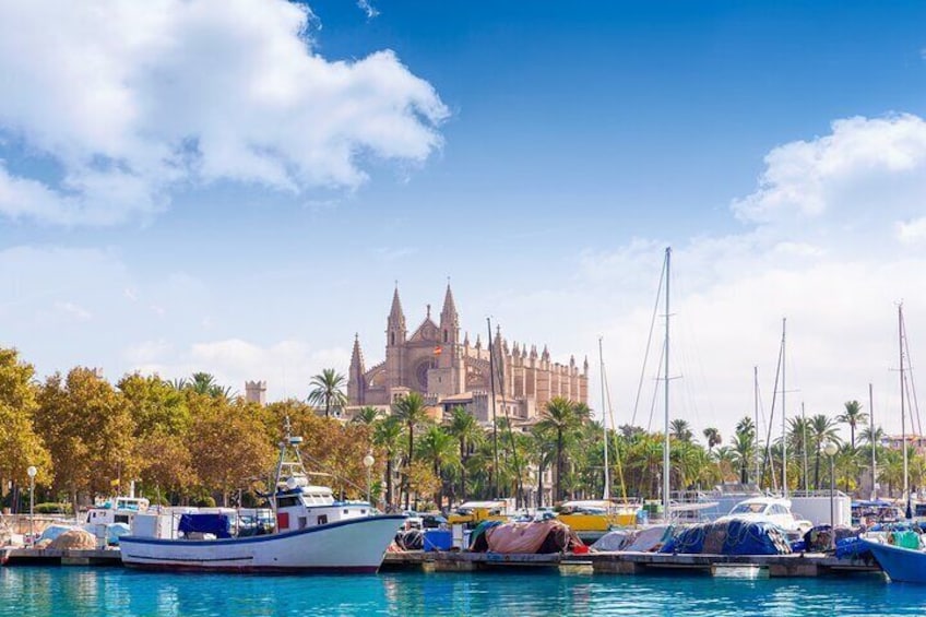 Palma de Mallorca Sightseeing Day Tour
