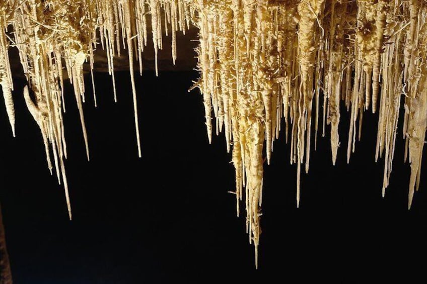 Mallorca Day Trip to Majorica Pearl Shop and Caves of Drach