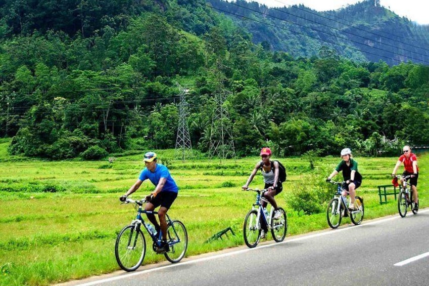 Nature cycling trail: paddy fields, cinnamon forests and villages – Galle