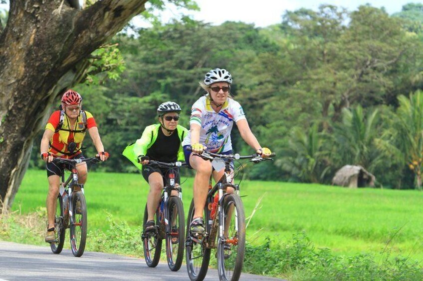 Nature cycling trail: paddy fields, cinnamon forests and villages – Galle