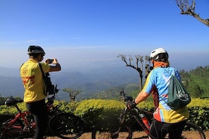Half day extreme tea country cycling quest – Dikoya
