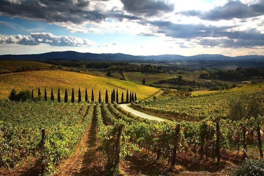 Tuscan countryside