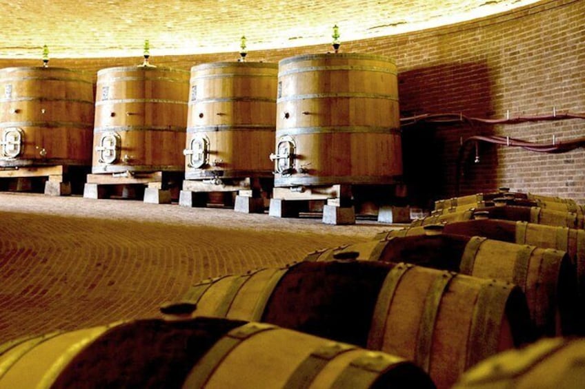 Cellar Tour