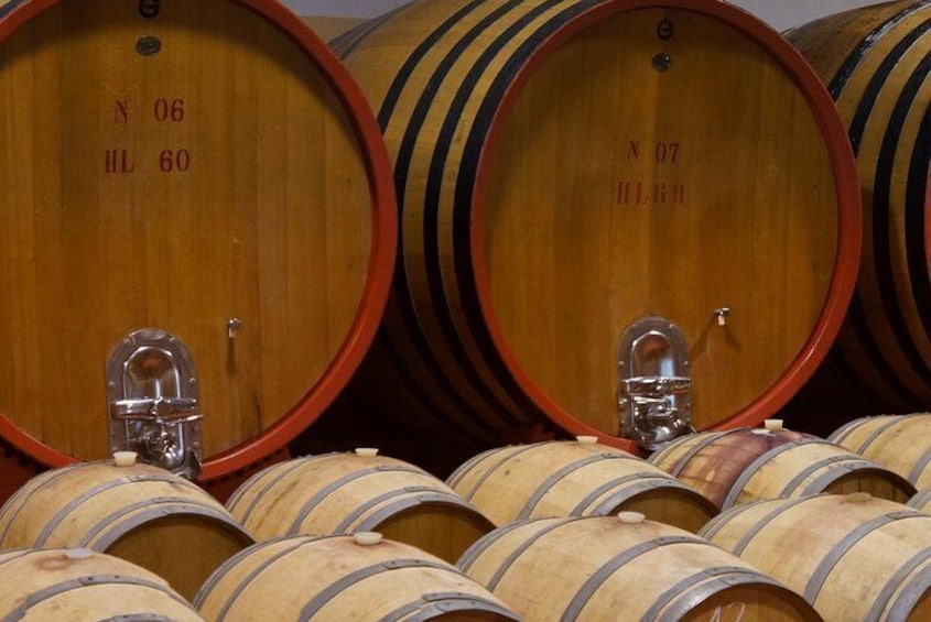 cellar tour at local winery