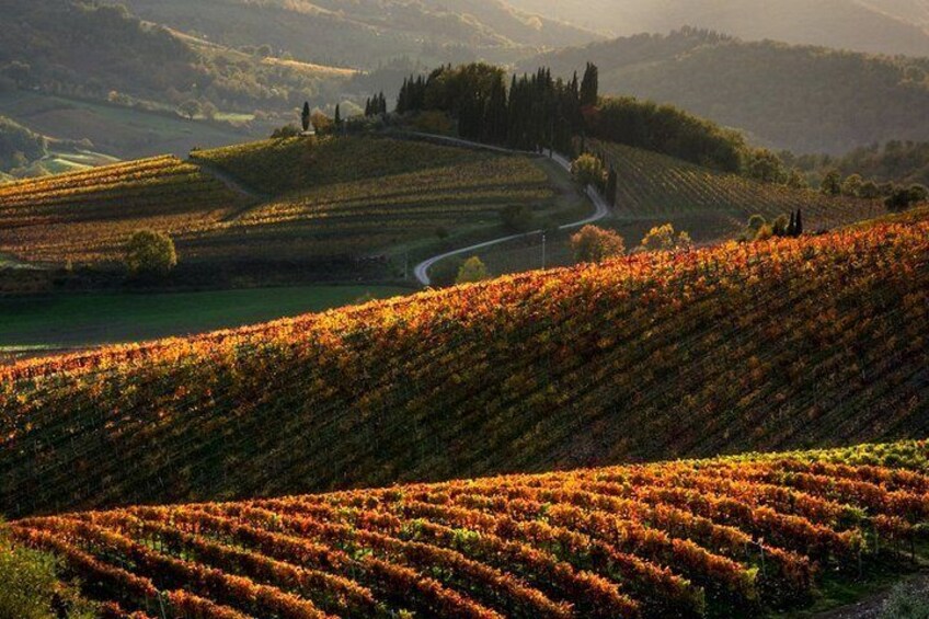 Tuscan countryside