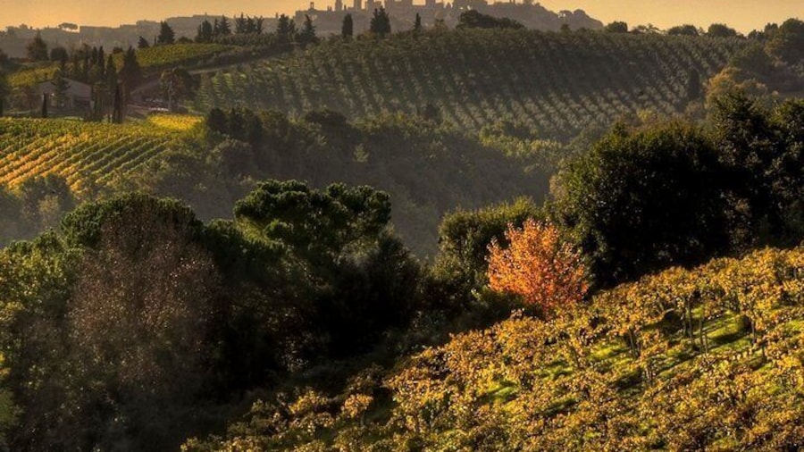 Chianti and San Gimignano Sunset Tour