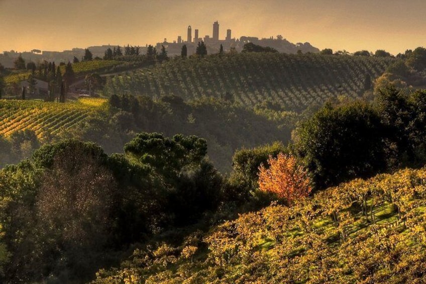 Chianti and San Gimignano Sunset Tour
