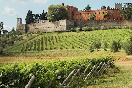 Small-Group Chianti Trip with Wine Tasting from Siena